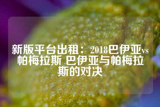 新版平台出租：2018巴伊亚vs帕梅拉斯 巴伊亚与帕梅拉斯的对决