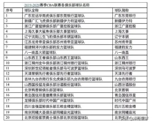 cba多少支球队 了解CBA联赛的参赛队伍-第3张图片-www.211178.com_果博福布斯